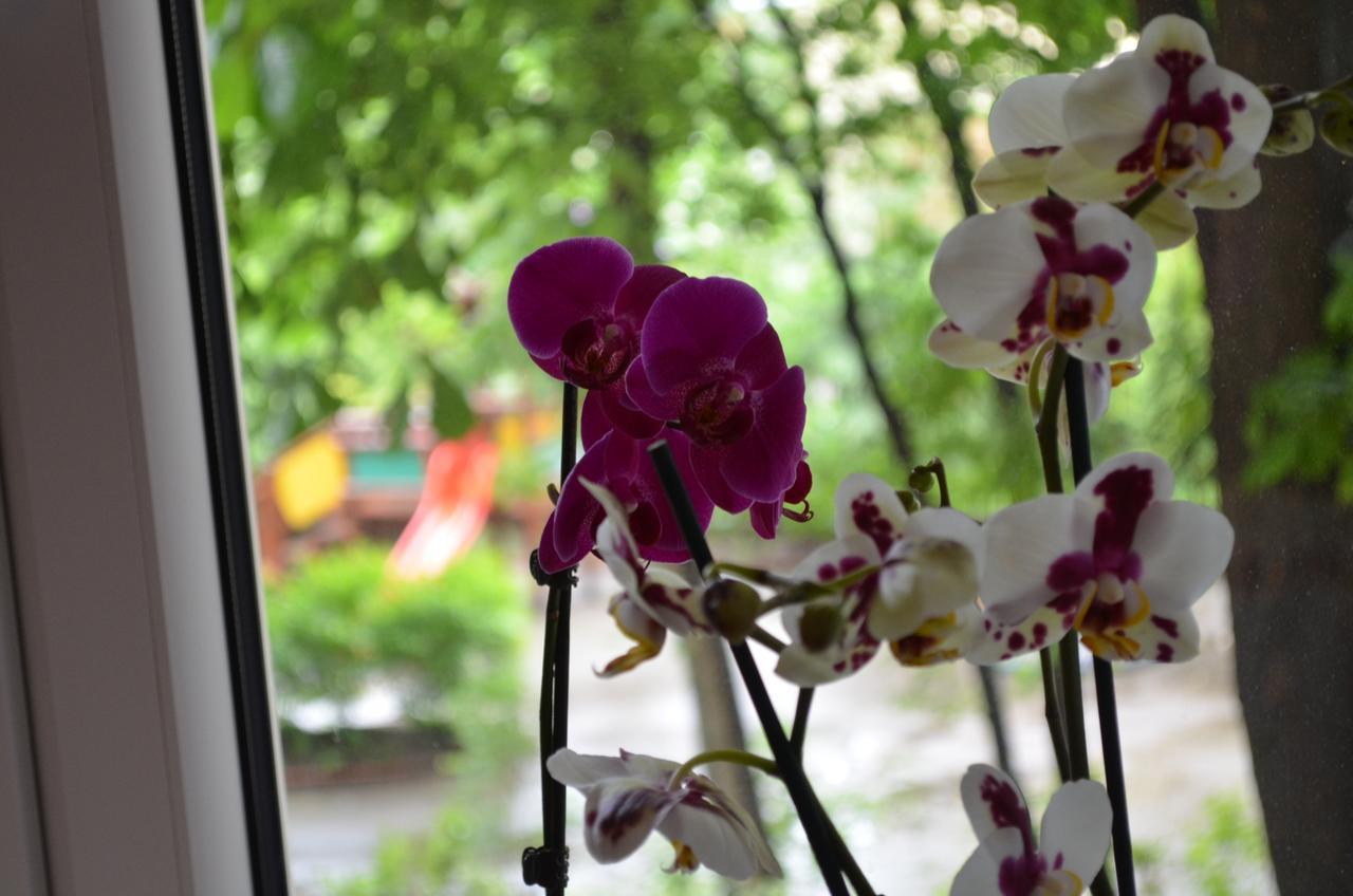 Apartament Orchidea Centrum Warszawa Eksteriør billede